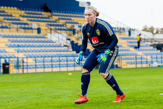 Hedvig Lindahl