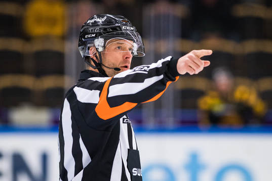 Domare Patrik Sjöberg