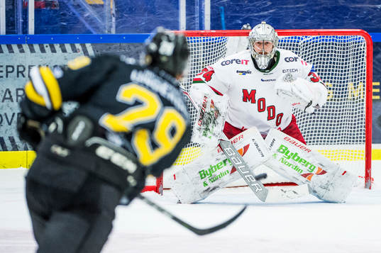 Bläddra bland fler bilder av Ishockey, Hockeyallsvenskan, Pantern - Modo