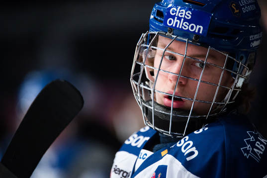 Leksands Wilde Bröms