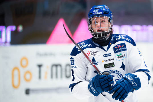 Leksands Wilde Bröms