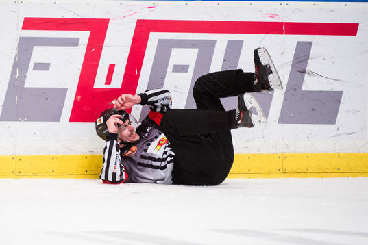 Domare Richard Magnusson faller