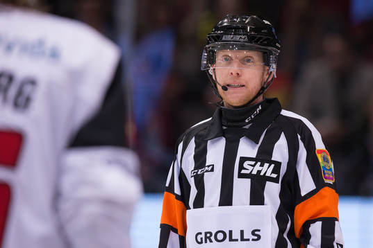 Domare Mikael Holm