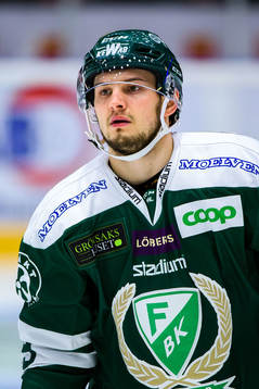 Färjestads Libor Hudacek deppar
