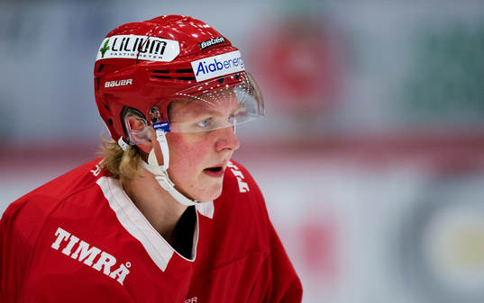 Timrås Fabian Zetterlund
