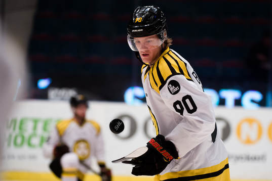 Brynäs Jesper Boqvist före ishockeymatchen i SHL mellan