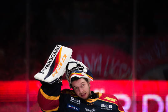 Djurgårdens målvakt Adam Reideborn