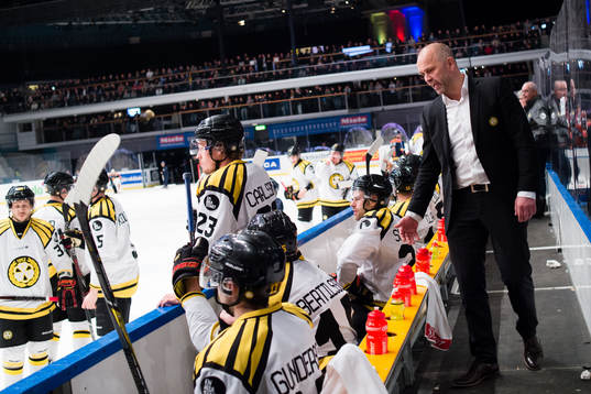 Brynäs tränare Tommy Sjödin