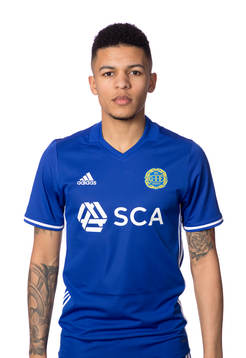 Sundsvalls Romain Gall