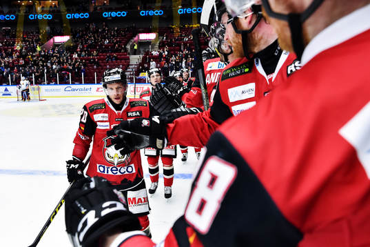 Malmö Redhawks Erik Forssell jublar med lagkamrater