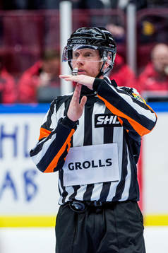 Domaren Mikael Holm