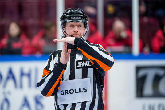 Domaren Mikael Holm