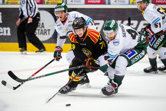 Frölundas Matt Donovan och Pontus Widerström