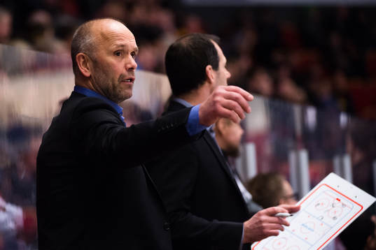 Brynäs tränare Tommy Sjödin