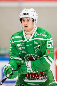 Rögles Lucas Elvenes