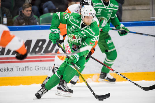 Rögles Ted Brithén