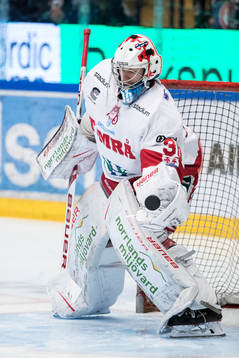 Timrås målvakt Henrik Haukeland  i ishockeymatchen i