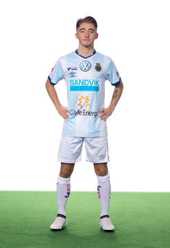 s Anton Kralj