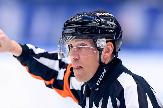 Domare Morgan Johansson
