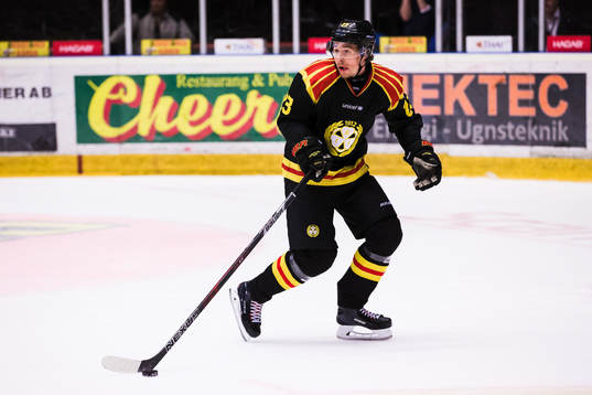 Brynäs Lucas Carlsson