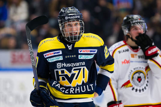 s David Gustafsson