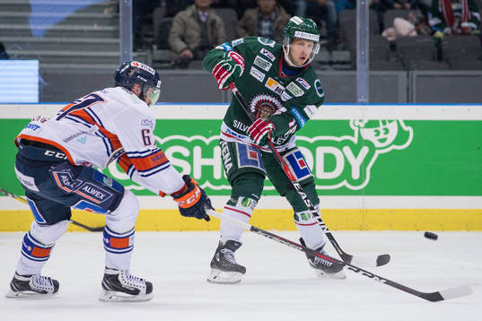 Frölundas Matt Donovan och Växjös Linus Fröberg