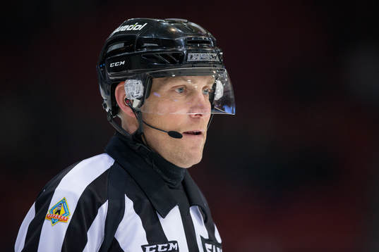 Domare Morgan Johansson