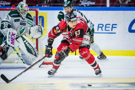 Malmö Redhawks Fredrik Händemark