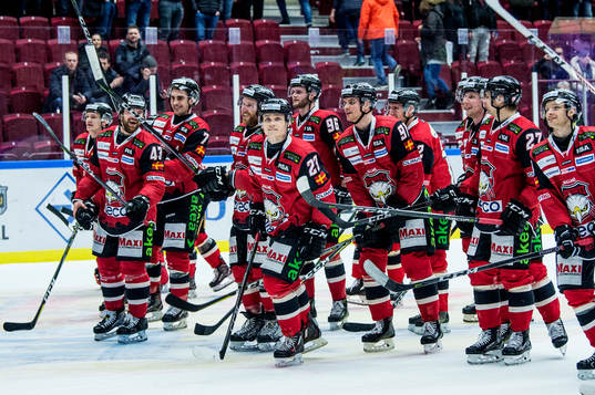 Malmö Redhawks spelare jublar