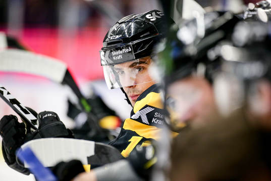 Skellefteås Henrik Hetta