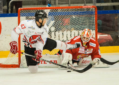 Bläddra bland fler bilder av Hockey, Hockeyallsvenskan, Almtuna - Vita Hästen