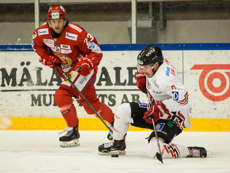 Vita Hästens Arvid Degerstedt