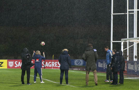Organization and staff with team members access pitch