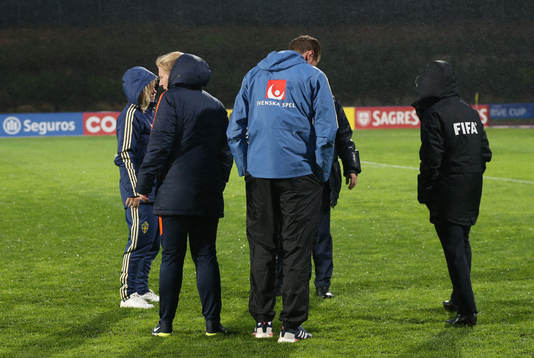 Organization and staff with team members access pitch
