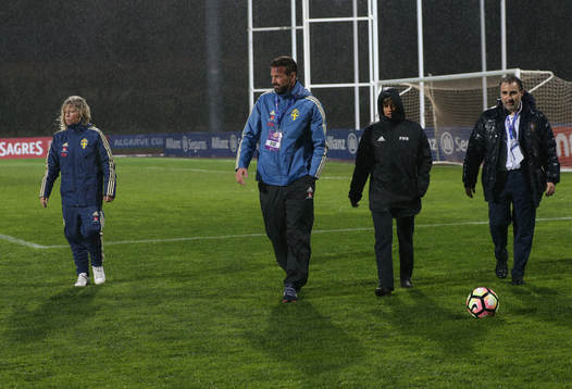 Organization and staff with team members access pitch