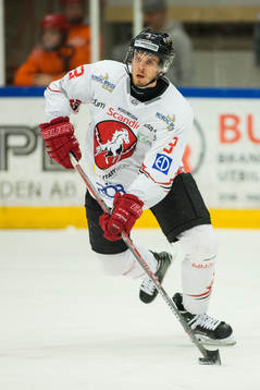 Vita Hästens Jens Hellgren