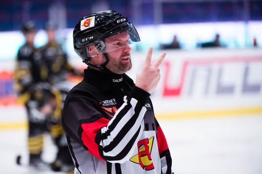 Domare David Bergman