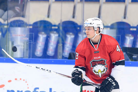 Malmö Redhawks Rhett Rakhshani