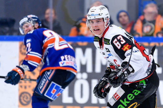 Malmö Redhawks Fredrik Händemark