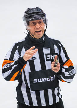 Domare Sören Persson