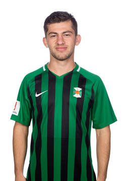 Varbergs Zev Taublieb
