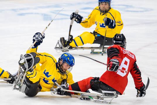 Niklas Rakos of Sweden and Tyler McGregor of Canada