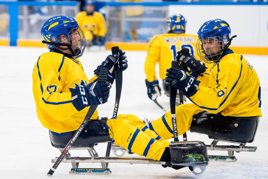 Daniel Cederstam and Peter Nilsson of Sweden look dejected
