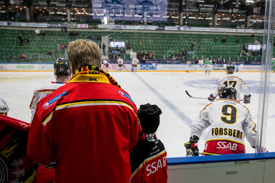 Luleå supporter
