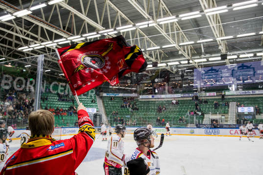 Luleå supporter
