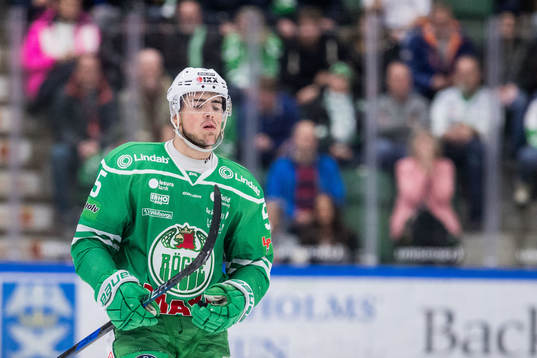 Rögles Alen Bibic deppar