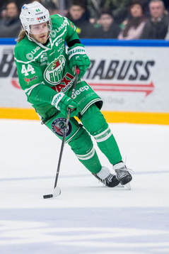 Rögles Olle Liss