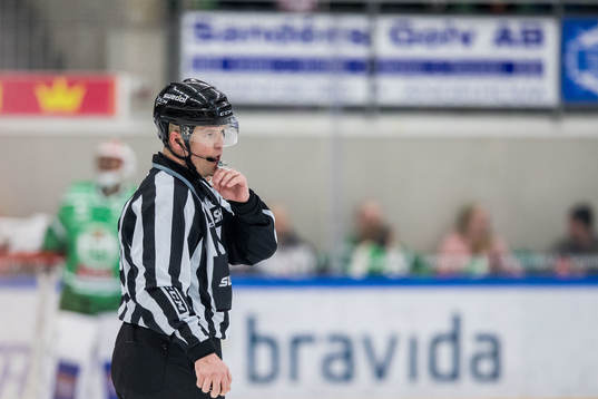 Linjedomare Ludvig Lundgren