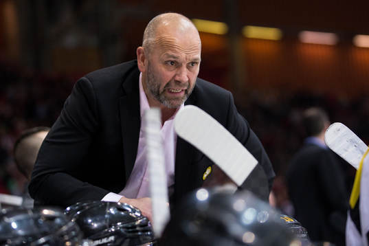 Brynäs tränare Tommy Sjödin
