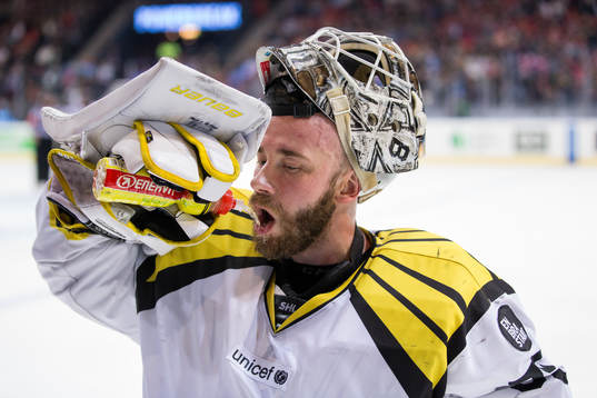 Brynäs målvakt David Rautio